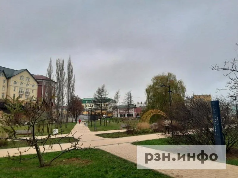 МЧС: 21 октября в Рязанской области до +14°С