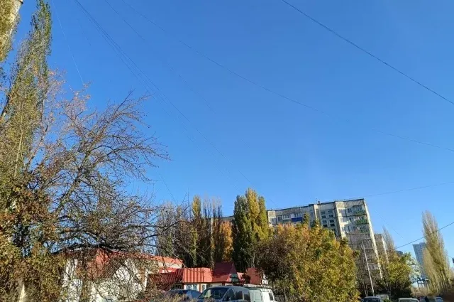 Жительницу Рязани приговорили к работам за долг по алиментам 1,1 млн