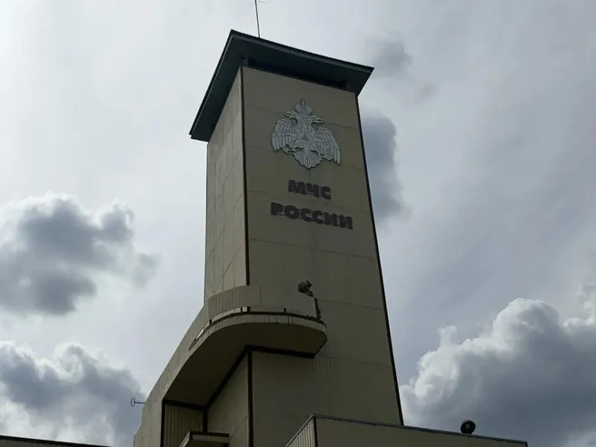 МЧС сообщило о 24 пожарах в Рязанской области за сутки