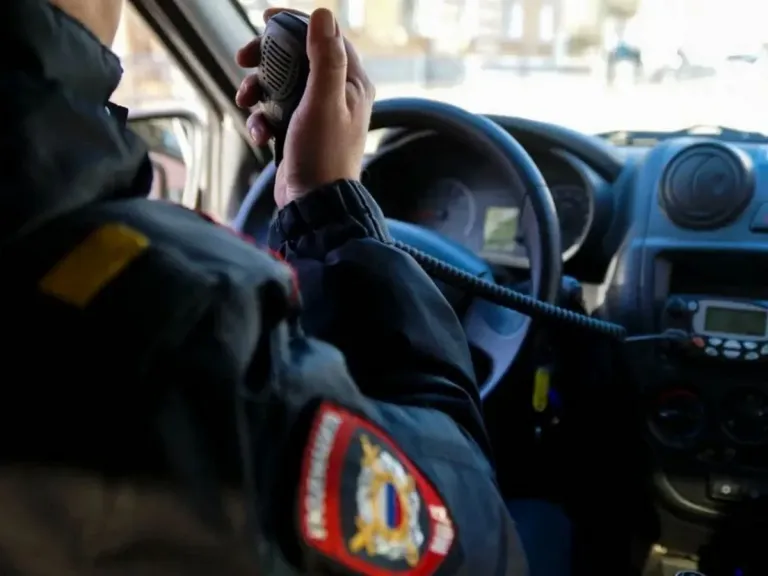 Полиция раскрыла кражу квадроцикла в Алеканове, задержан житель Костромы